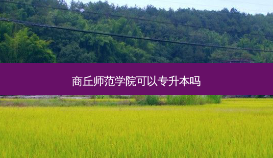 商丘师范学院可以专升本吗-第1张图片-天智网 商丘师范学院可以专升本吗-第1张图片-天智网