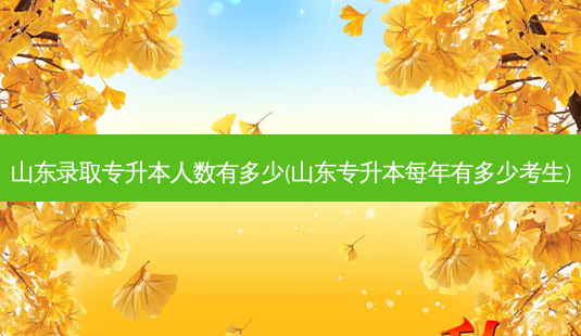 山东录取专升本人数有多少(山东专升本每年有多少考生)-第1张图片-天智网 山东录取专升本人数有多少(山东专升本每年有多少考生)-第1张图片-天智网