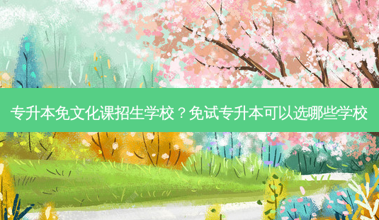 专升本免文化课招生学校?免试专升本可以选哪些学校-第1张图片-天智网 专升本免文化课招生学校?免试专升本可以选哪些学校-第1张图片-天智网