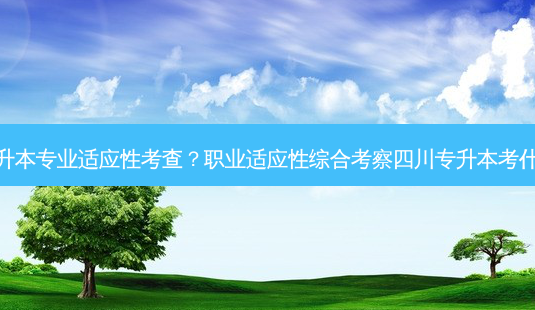 专升本专业适应性考查？职业适应性综合考察四川专升本考什么-第1张图片-汇成专升本网