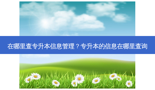 在哪里查专升本信息管理？专升本的信息在哪里查询-第1张图片-汇成专升本网