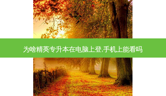 为啥精英专升本在电脑上登,手机上能看吗-第1张图片-天智网 为啥精英专升本在电脑上登,手机上能看吗-第1张图片-天智网