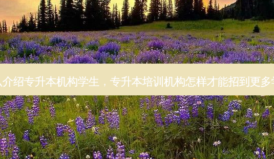 怎么介绍专升本机构学生,专升本培训机构怎样才能招到更多学生-第1张图片-天智网 怎么介绍专升本机构学生,专升本培训机构怎样才能招到更多学生-第1张图片-天智网