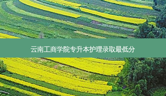 云南工商学院专升本护理录取 *** 低分-第1张图片-天智网 云南工商学院专升本护理录取 *** 低分-第1张图片-天智网