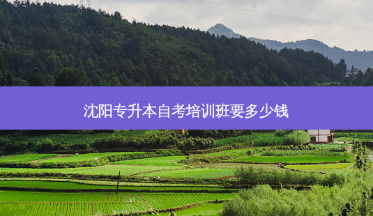 沈阳专升本自考培训班要多少钱-第1张图片-天智网 沈阳专升本自考培训班要多少钱-第1张图片-天智网