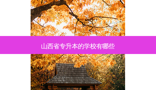山西省专升本的学校有哪些-第1张图片-天智网 山西省专升本的学校有哪些-第1张图片-天智网
