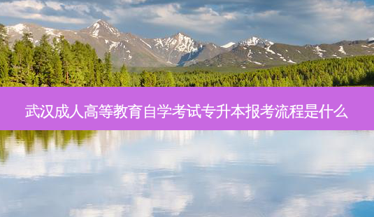 武汉成人高等教育自学考试专升本报考流程是什么-第1张图片-天智网 武汉成人高等教育自学考试专升本报考流程是什么-第1张图片-天智网