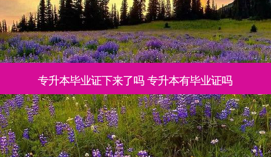 专升本毕业证下来了吗 专升本有毕业证吗-第1张图片-天智网 专升本毕业证下来了吗 专升本有毕业证吗-第1张图片-天智网