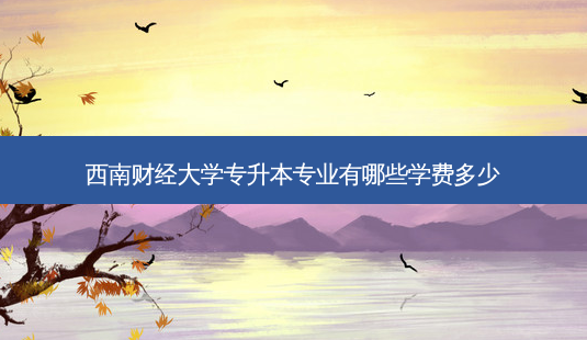 西南财经大学专升本专业有哪些学费多少-第1张图片-天智网 西南财经大学专升本专业有哪些学费多少-第1张图片-天智网