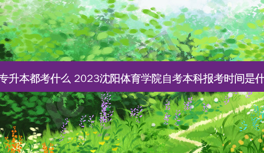 沈阳市专升本都考什么 2023沈阳体育学院自考本科报考时间是什么时候-第1张图片-天智网 沈阳市专升本都考什么 2023沈阳体育学院自考本科报考时间是什么时候-第1张图片-天智网