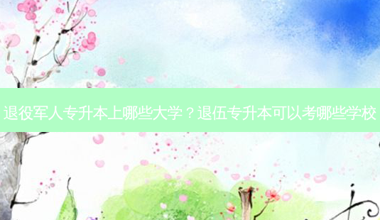 退役军人专升本上哪些大学?退伍专升本可以考哪些学校-第1张图片-天智网 退役军人专升本上哪些大学?退伍专升本可以考哪些学校-第1张图片-天智网