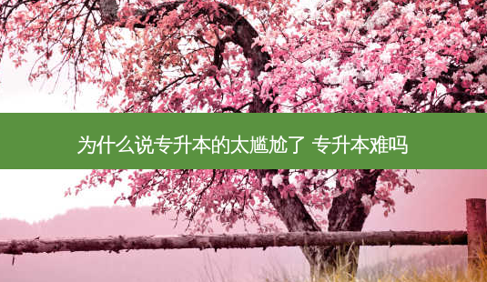 为什么说专升本的太尴尬了 专升本难吗-第1张图片-天智网 为什么说专升本的太尴尬了 专升本难吗-第1张图片-天智网