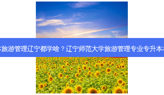 专升本旅游管理辽宁都学啥?辽宁师范大学旅游管理专业专升本考什么-第1张图片-天智网 专升本旅游管理辽宁都学啥?辽宁师范大学旅游管理专业专升本考什么-第1张图片-天智网