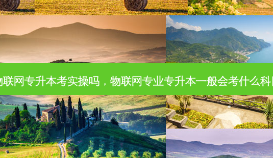 物联网专升本考实操吗,物联网专业专升本一般会考什么科目-第1张图片-天智网 物联网专升本考实操吗,物联网专业专升本一般会考什么科目-第1张图片-天智网