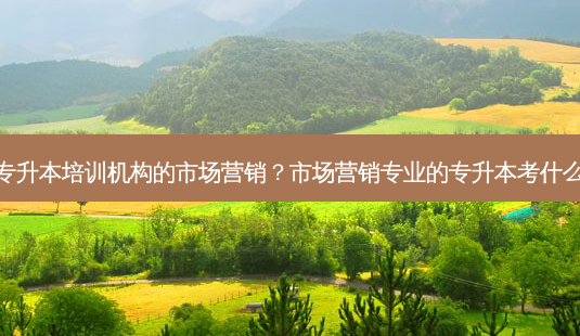 专升本培训机构的市场营销？市场营销专业的专升本考什么-第1张图片-汇成专升本网