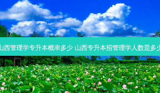 山西管理学专升本概率多少 山西专升本招管理学人数是多少-第1张图片-天智网 山西管理学专升本概率多少 山西专升本招管理学人数是多少-第1张图片-天智网