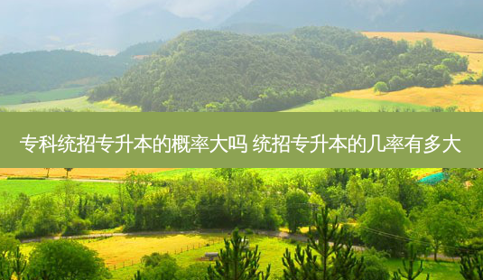 专科统招专升本的概率大吗 统招专升本的几率有多大-第1张图片-天智网 专科统招专升本的概率大吗 统招专升本的几率有多大-第1张图片-天智网