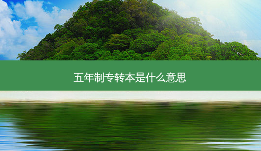 五年制专转本是什么意思-第1张图片-天智网 五年制专转本是什么意思-第1张图片-天智网