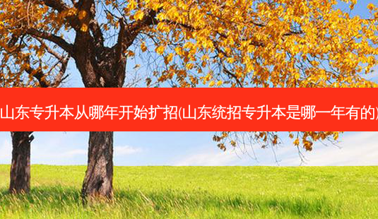 山东专升本从哪年开始扩招(山东统招专升本是哪一年有的)-第1张图片-天智网 山东专升本从哪年开始扩招(山东统招专升本是哪一年有的)-第1张图片-天智网