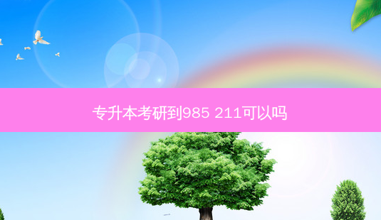 专升本考研到985 211可以吗-第1张图片-汇成专升本网