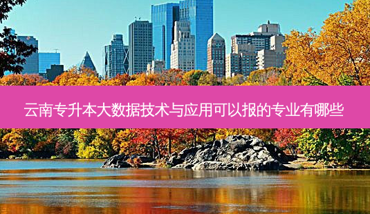 云南专升本大数据技术与应用可以报的专业有哪些-第1张图片-天智网 云南专升本大数据技术与应用可以报的专业有哪些-第1张图片-天智网