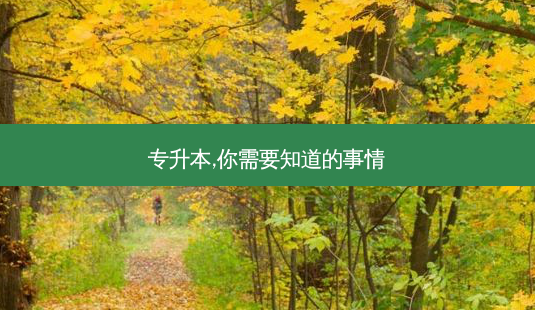 专升本,你需要知道的事情-第1张图片-天智网 专升本,你需要知道的事情-第1张图片-天智网