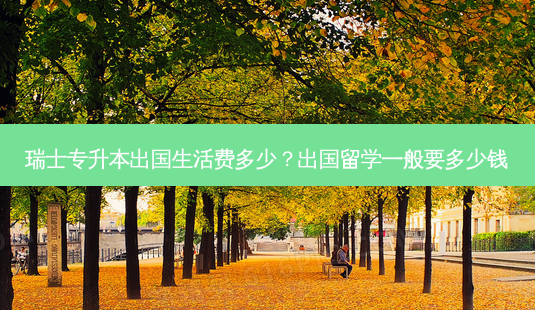 瑞士专升本出国生活费多少?出国留学一般要多少钱-第1张图片-天智网 瑞士专升本出国生活费多少?出国留学一般要多少钱-第1张图片-天智网