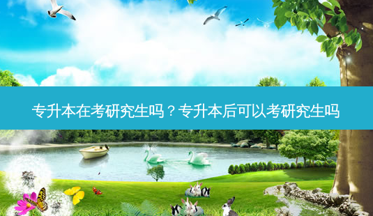 专升本在考研究生吗?专升本后可以考研究生吗-第1张图片-天智网 专升本在考研究生吗?专升本后可以考研究生吗-第1张图片-天智网