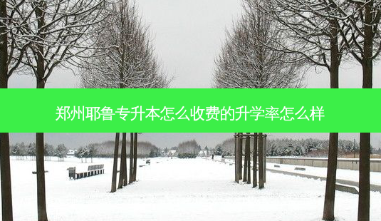 郑州耶鲁专升本怎么收费的升学率怎么样-第1张图片-天智网 郑州耶鲁专升本怎么收费的升学率怎么样-第1张图片-天智网