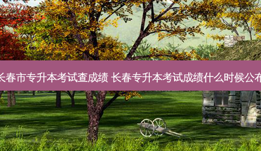 长春市专升本考试查成绩 长春专升本考试成绩什么时候公布-第1张图片-天智网 长春市专升本考试查成绩 长春专升本考试成绩什么时候公布-第1张图片-天智网