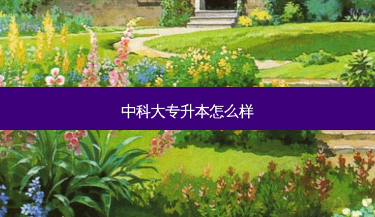 中科大专升本怎么样-第1张图片-天智网 中科大专升本怎么样-第1张图片-天智网