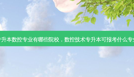专升本数控专业有哪些院校,数控技术专升本可报考什么专业-第1张图片-天智网 专升本数控专业有哪些院校,数控技术专升本可报考什么专业-第1张图片-天智网