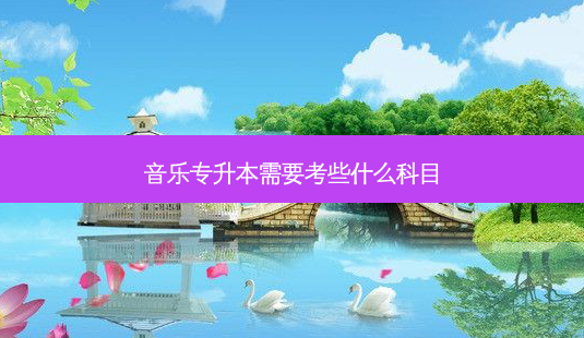 音乐专升本需要考些什么科目-第1张图片-天智网 音乐专升本需要考些什么科目-第1张图片-天智网