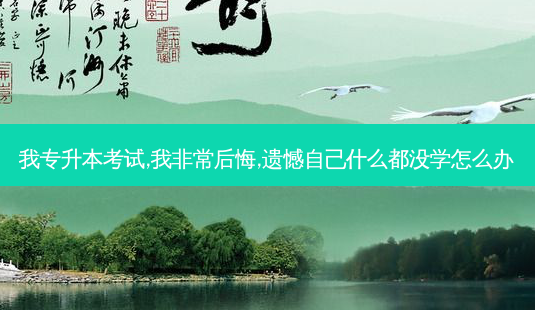 我专升本考试,我 *** 后悔,遗憾自己什么都没学怎么办-第1张图片-天智网 我专升本考试,我 *** 后悔,遗憾自己什么都没学怎么办-第1张图片-天智网