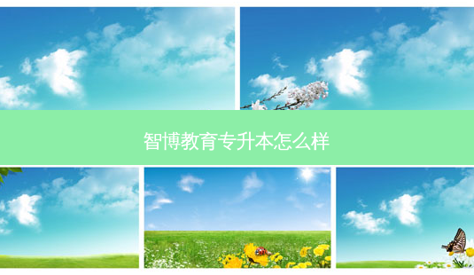 智博教育专升本怎么样-第1张图片-天智网 智博教育专升本怎么样-第1张图片-天智网