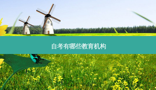 自考有哪些教育机构-第1张图片-天智网 自考有哪些教育机构-第1张图片-天智网