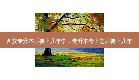 西安专升本后要上几年学,专升本考上之后要上几年-第1张图片-天智网 西安专升本后要上几年学,专升本考上之后要上几年-第1张图片-天智网