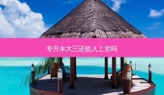 专升本大三还能入上党吗-第1张图片-天智网 专升本大三还能入上党吗-第1张图片-天智网