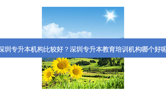 深圳专升本机构比较好?深圳专升本教育培训机构哪个好呢-第1张图片-天智网 深圳专升本机构比较好?深圳专升本教育培训机构哪个好呢-第1张图片-天智网