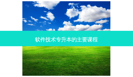软件技术专升本的主要课程-第1张图片-天智网 软件技术专升本的主要课程-第1张图片-天智网