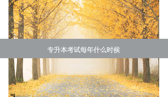 专升本考试每年什么时候-第1张图片-天智网 专升本考试每年什么时候-第1张图片-天智网
