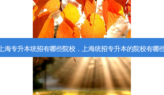 上海专升本统招有哪些院校,上海统招专升本的院校有哪些-第1张图片-天智网 上海专升本统招有哪些院校,上海统招专升本的院校有哪些-第1张图片-天智网