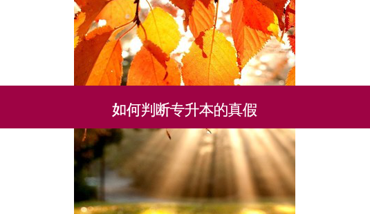 如何判断专升本的真假-第1张图片-天智网 如何判断专升本的真假-第1张图片-天智网