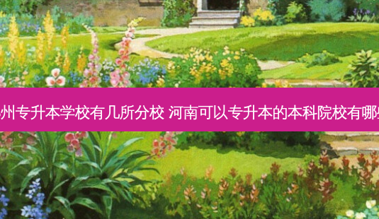 郑州专升本学校有几所分校 河南可以专升本的本科院校有哪些-第1张图片-天智网 郑州专升本学校有几所分校 河南可以专升本的本科院校有哪些-第1张图片-天智网