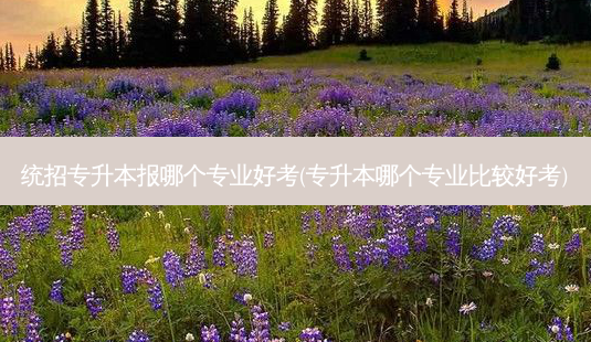 统招专升本报哪个专业好考(专升本哪个专业比较好考)-第1张图片-天智网 统招专升本报哪个专业好考(专升本哪个专业比较好考)-第1张图片-天智网