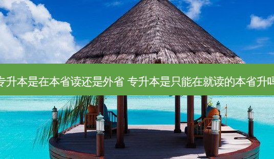 专升本是在本省读还是外省 专升本是只能在就读的本省升吗-第1张图片-天智网 专升本是在本省读还是外省 专升本是只能在就读的本省升吗-第1张图片-天智网