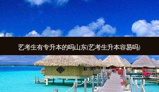 艺考生有专升本的吗山东(艺考生升本容易吗)-第1张图片-天智网 艺考生有专升本的吗山东(艺考生升本容易吗)-第1张图片-天智网