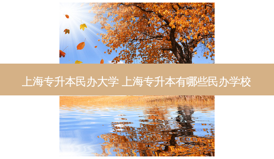 上海专升本民办大学 上海专升本有哪些民办学校-第1张图片-天智网 上海专升本民办大学 上海专升本有哪些民办学校-第1张图片-天智网