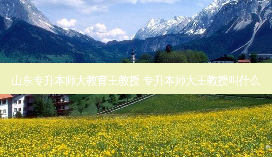 山东专升本师大教育王教授 专升本师大王教授叫什么-第1张图片-天智网 山东专升本师大教育王教授 专升本师大王教授叫什么-第1张图片-天智网