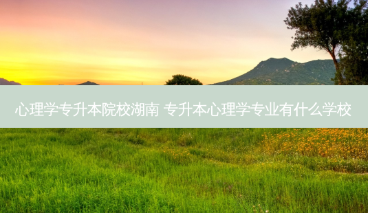 心理学专升本院校湖南 专升本心理学专业有什么学校-第1张图片-天智网 心理学专升本院校湖南 专升本心理学专业有什么学校-第1张图片-天智网